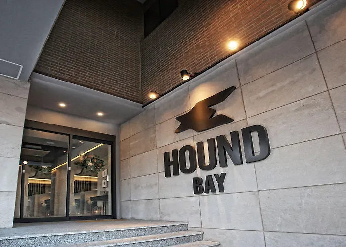 Bay Hound 3*