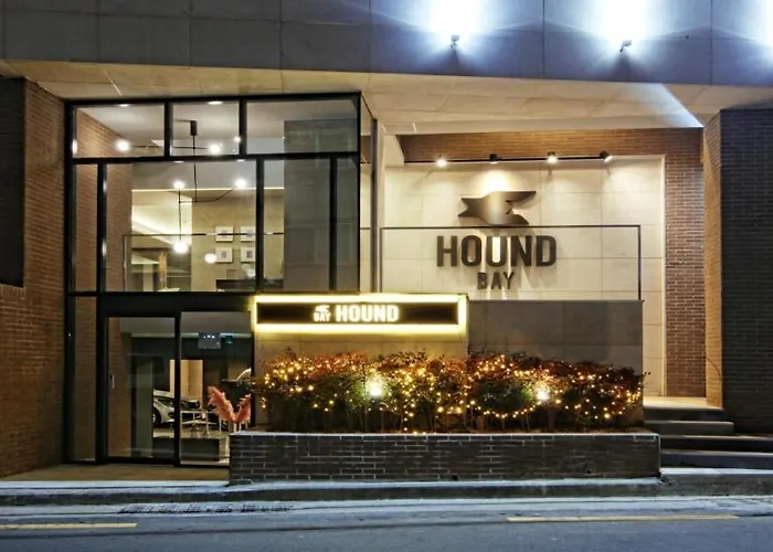 Bay Hound Пусан